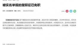 团委书记爆料新闻报道内容,新闻报道背后的真实故事”